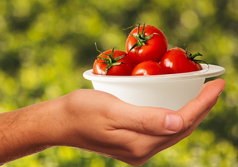 Tomatoes at La Tomatina Festival